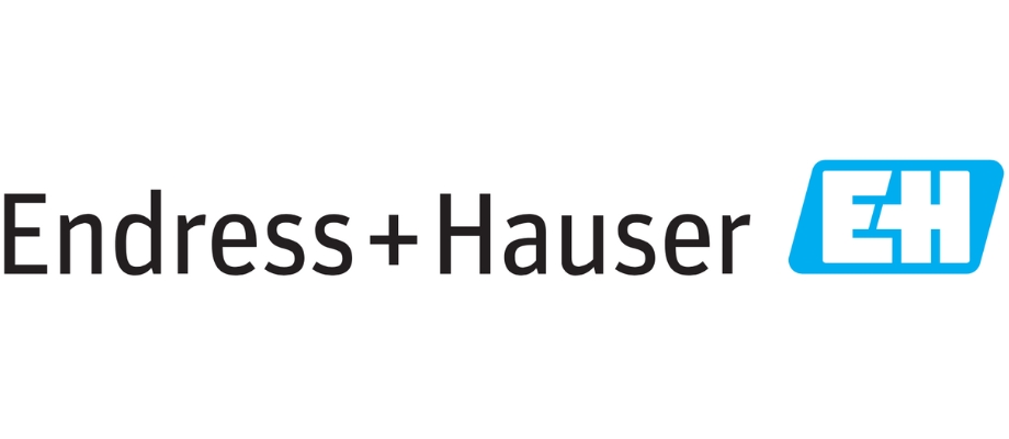 Endress + Hauser